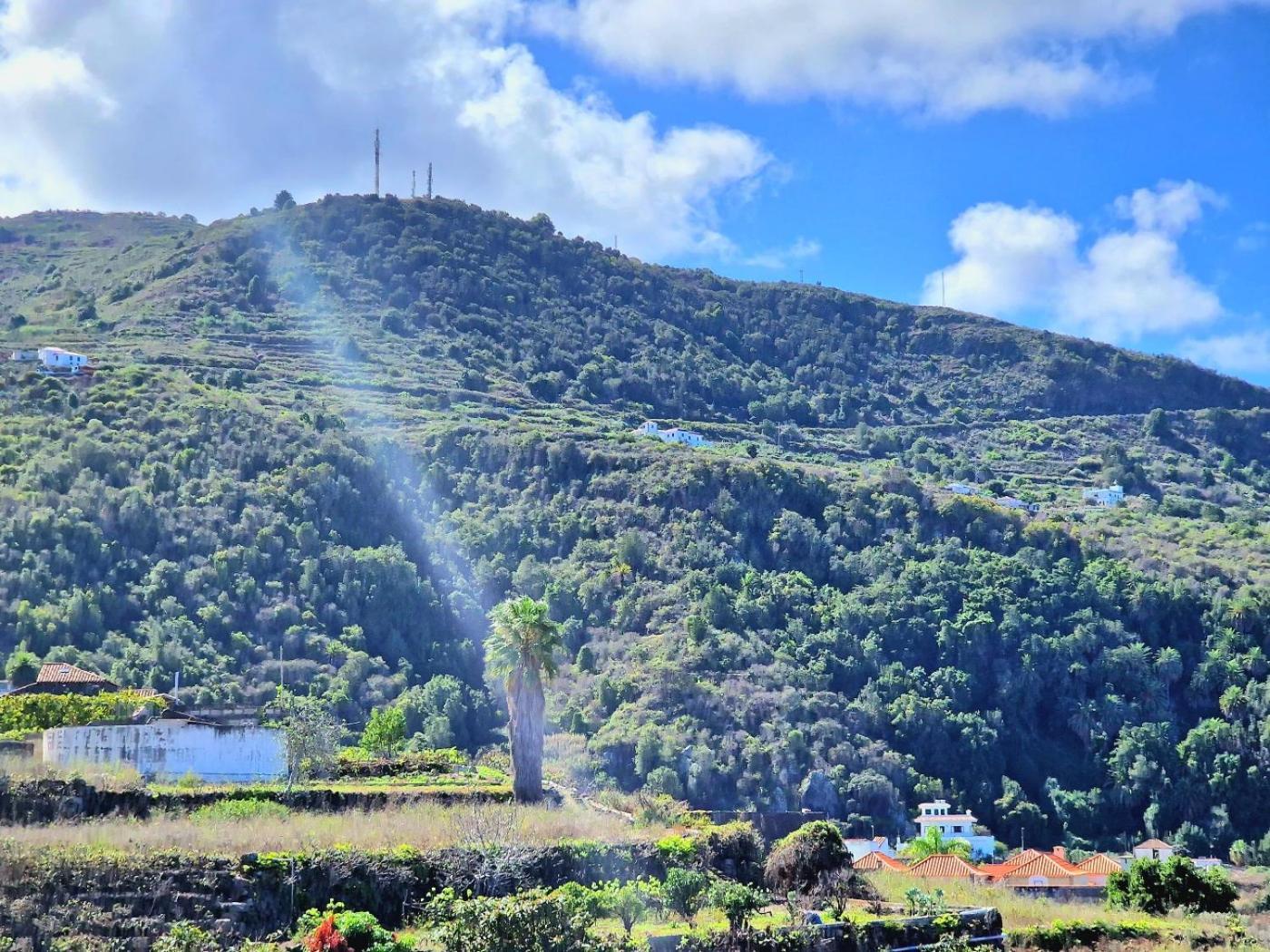 Cozy House Casa De Los Abuelos In Icod De Los Vinos By Hrtenerife Net Dış mekan fotoğraf