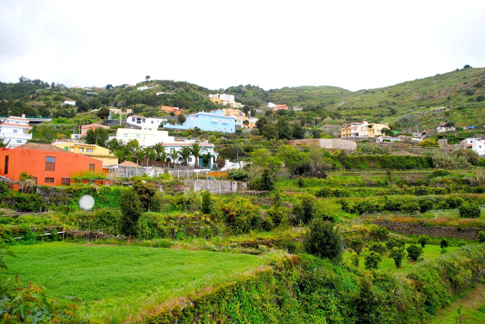 Cozy House Casa De Los Abuelos In Icod De Los Vinos By Hrtenerife Net Dış mekan fotoğraf