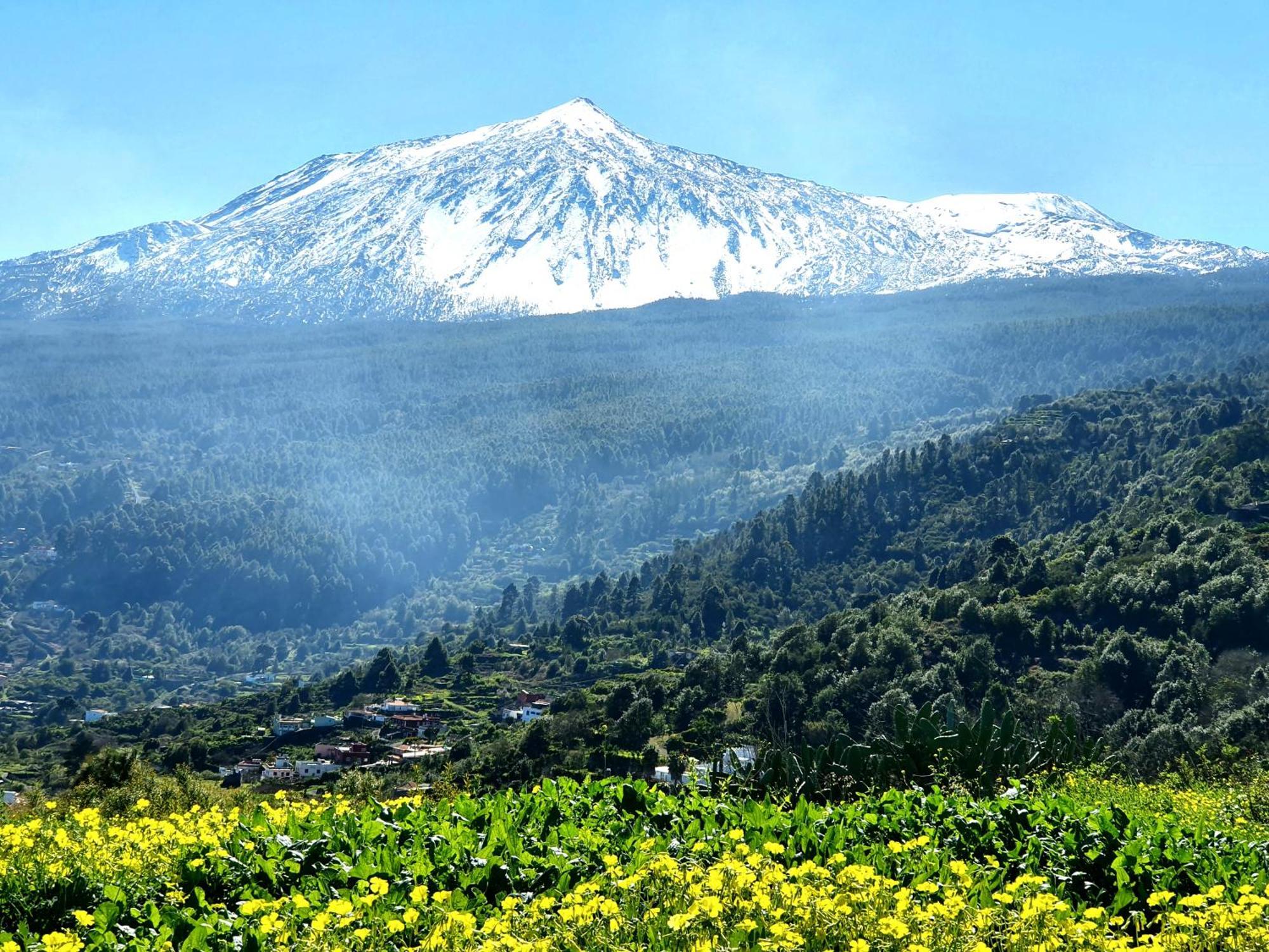 Cozy House Casa De Los Abuelos In Icod De Los Vinos By Hrtenerife Net Dış mekan fotoğraf