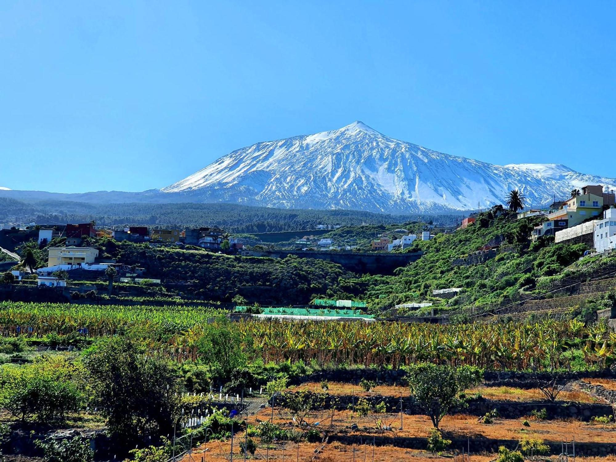Cozy House Casa De Los Abuelos In Icod De Los Vinos By Hrtenerife Net Dış mekan fotoğraf